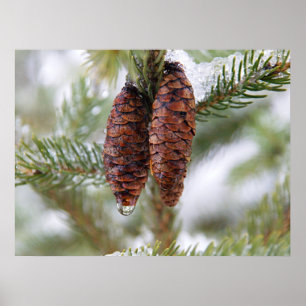 Glaasde Cones Poster