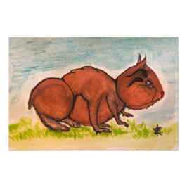 Glabelhammie Foto Afdruk