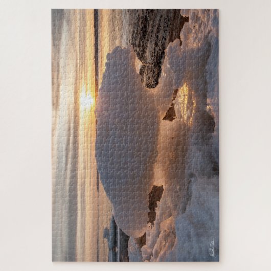 glace en forme d'ours legpuzzel (Verticaal)