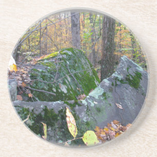 Glacial Boulders Montgomery County Pennsylsylania Zandsteen Onderzetter