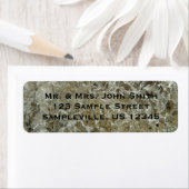 Glacial Ice Abstracte Natuur Textuur Etiket (Insitu)