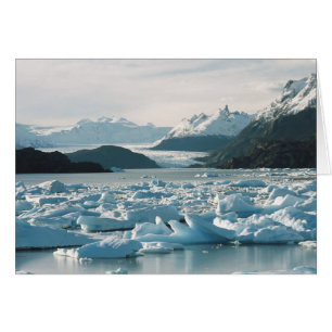 Glacial Icebergs