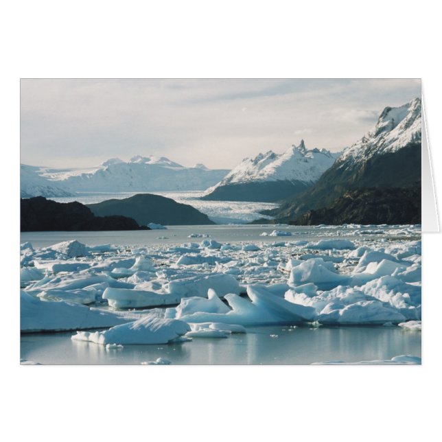 Glacial Icebergs (Voorkant Horizontaal)