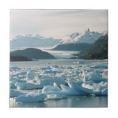 Glacial Icebergs Tegeltje (Voorkant)