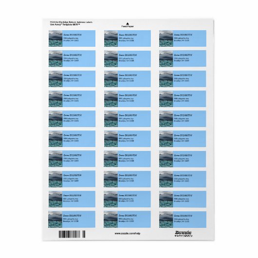 Glacial Lake Jokulsarlon - IJsland Etiket (Full Sheet)