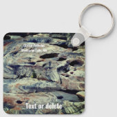 Glacial Potholes Shelburne Herfsten MA Sleutelhanger (Achterkant)