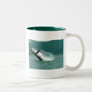 Glacier Bay Alaska walvis, mok