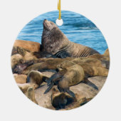 Glacier Bay National Park Keramisch Ornament (Achterkant)