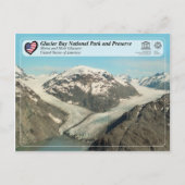Glacier Bay National Park - Morse en Muir Glacier Briefkaart (Voorkant)