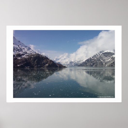 Glacier Bay Poster