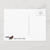 Glacier-Fed Waters van Alaska Briefkaart (Achterkant)