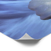 Glacier Mage Poster (Hoek)