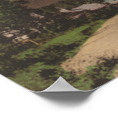 Glacier, MT - Uitzicht van Two Chalets & Mt. Rockw Poster (Hoek)