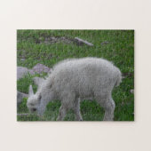 Glacier National Park Baby Mountain Goat Foto Legpuzzel (Horizontaal)