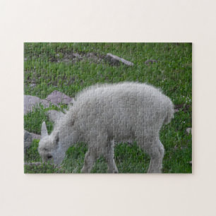 Glacier National Park Baby Mountain Goat Foto Legpuzzel