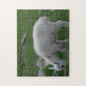 Glacier National Park Baby Mountain Goat Foto Legpuzzel (Verticaal)