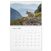 Glacier National Park Calendar Kalender (Jan 2026)