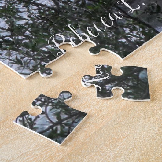 Glacier National Park Curving Stream Foto Legpuzzel (Zijkant)