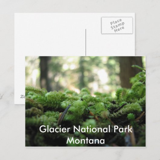 Glacier National Park, Montana Mossy Briefkaart (Voorkant / Achterkant)