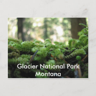 Glacier National Park, Montana Mossy Briefkaart