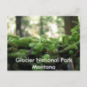 Glacier National Park, Montana Mossy Briefkaart (Voorkant)