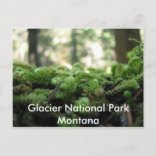 Glacier National Park, Montana Mossy Briefkaart (Voorkant)