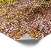 Glacier National Park, Montana, Verenigde Staten Poster (Hoek)