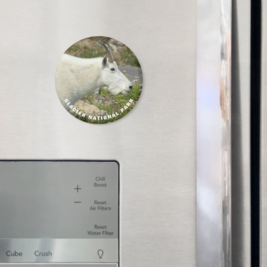 Glacier National Park Mountain Goat Foto Magneet (Insitu (Koelkast))