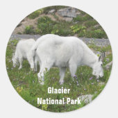 Glacier National Park Mountain Goats Foto Ronde Sticker (Voorkant)