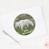 Glacier National Park Mountain Goats Foto Ronde Sticker (Envelop)