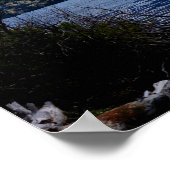 Glacier National Park scènes Poster (Hoek)