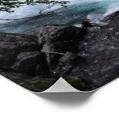 Glacier National Park Woodland Stream Foto Poster (Hoek)