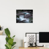 Glacier National Park Woodland Stream Foto Poster (Thuiskantoor)