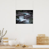 Glacier National Park Woodland Stream Foto Poster (Keuken)