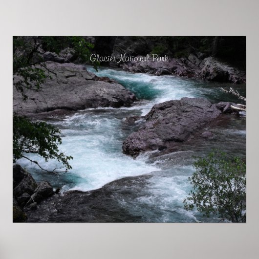 Glacier National Park Woodland Stream Foto Poster (Voorkant)