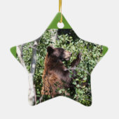 Glacier Park Keramisch Ornament (Achterkant)