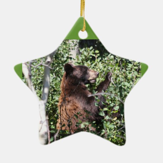 Glacier Park Keramisch Ornament (Achterkant)