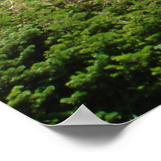 Glacier Park - Naar de Sun Road Poster (Hoek)