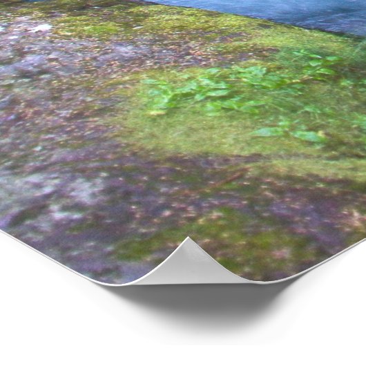 Glacier Park Poster (Hoek)