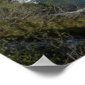 Glacier Quest Poster (Hoek)