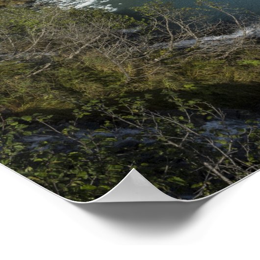 Glacier Quest Poster (Hoek)