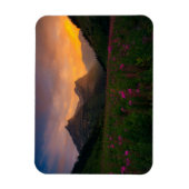 Glacier Wildbloemen Magneet (Verticaal)