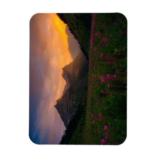 Glacier Wildbloemen Magneet (Verticaal)