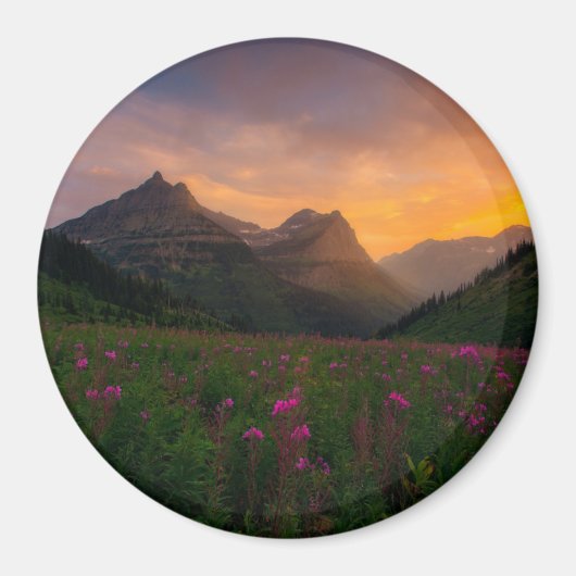 Glacier Wildbloemen Magneet (Voorkant)