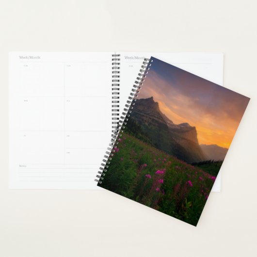 Glacier Wildbloemen Planner (Display)