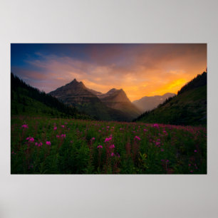 Glacier Wildbloemen Poster