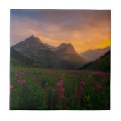 Glacier Wildbloemen Tegeltje (Voorkant)