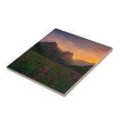 Glacier Wildbloemen Tegeltje (Zijkant)