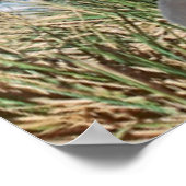 Glaciers and sailing yacht in background poster (Hoek)