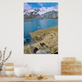 Glaciers and sailing yacht in background poster (Keuken)